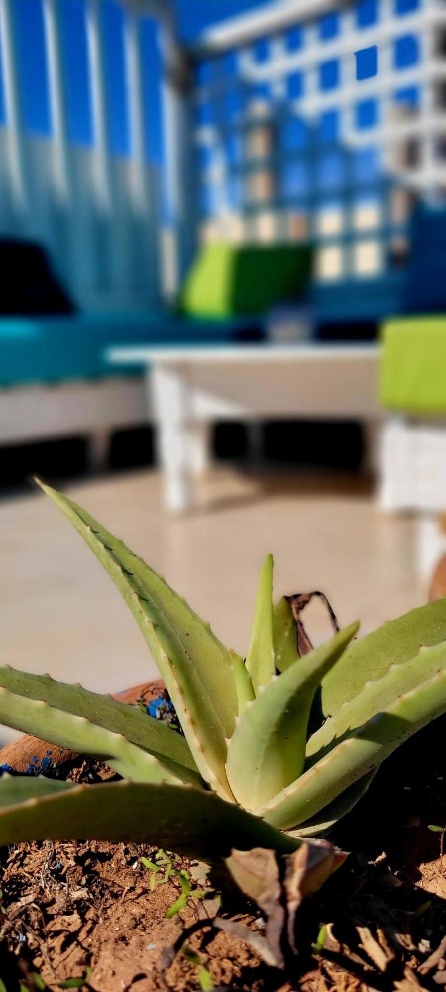 Riad Ocean Medina Essaouira Eksteriør bilde
