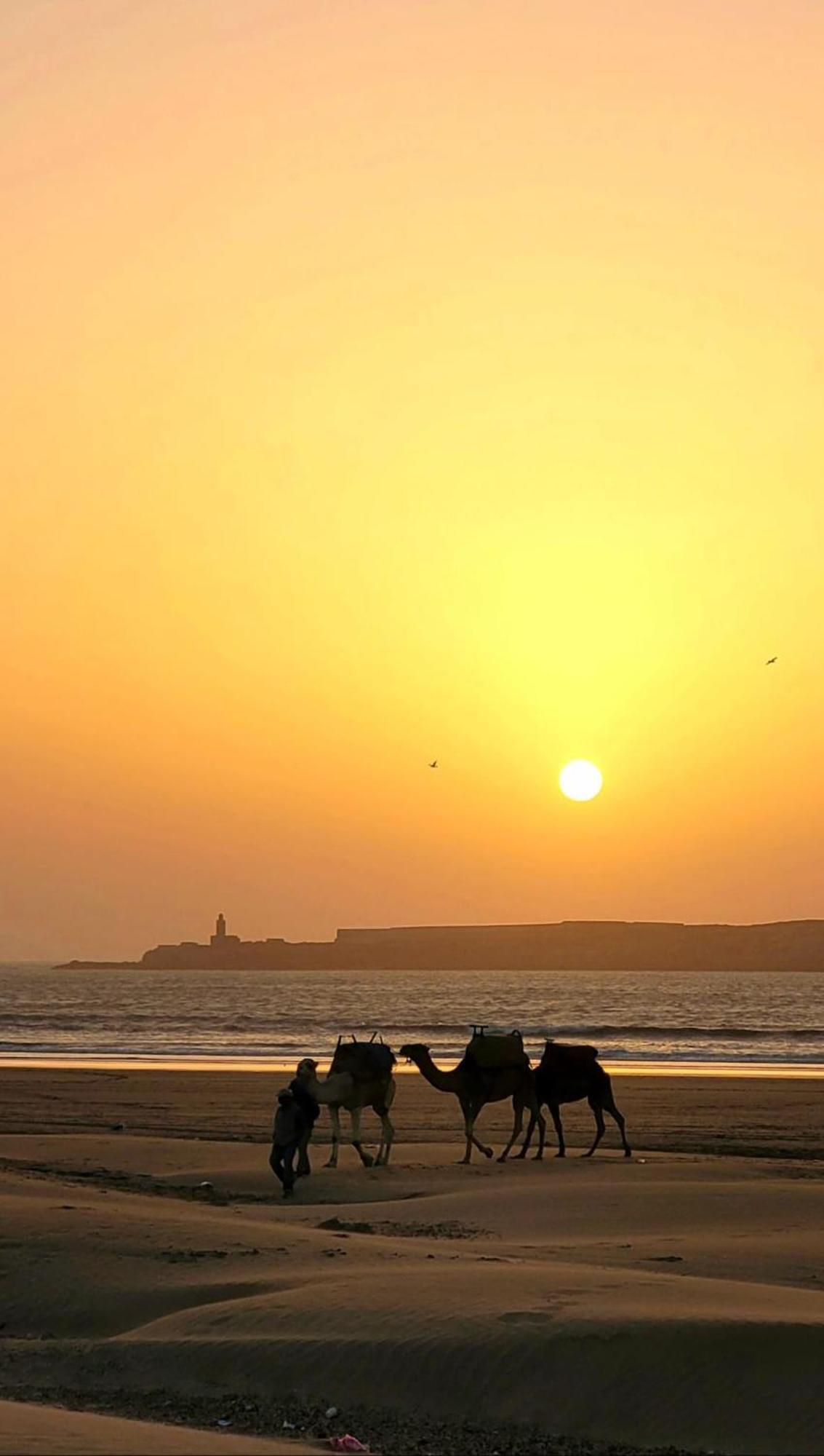 Riad Ocean Medina Essaouira Eksteriør bilde