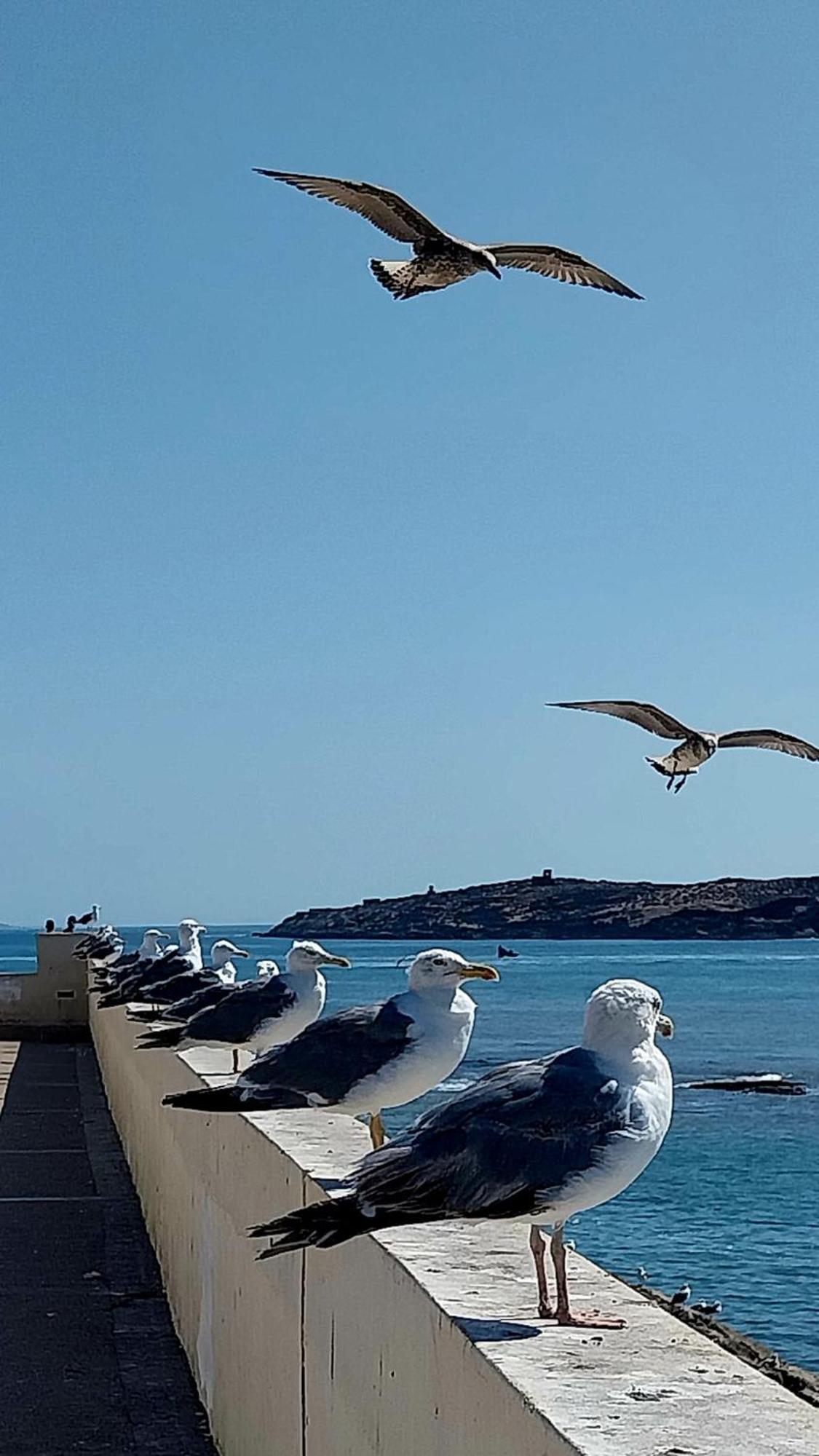 Riad Ocean Medina Essaouira Eksteriør bilde
