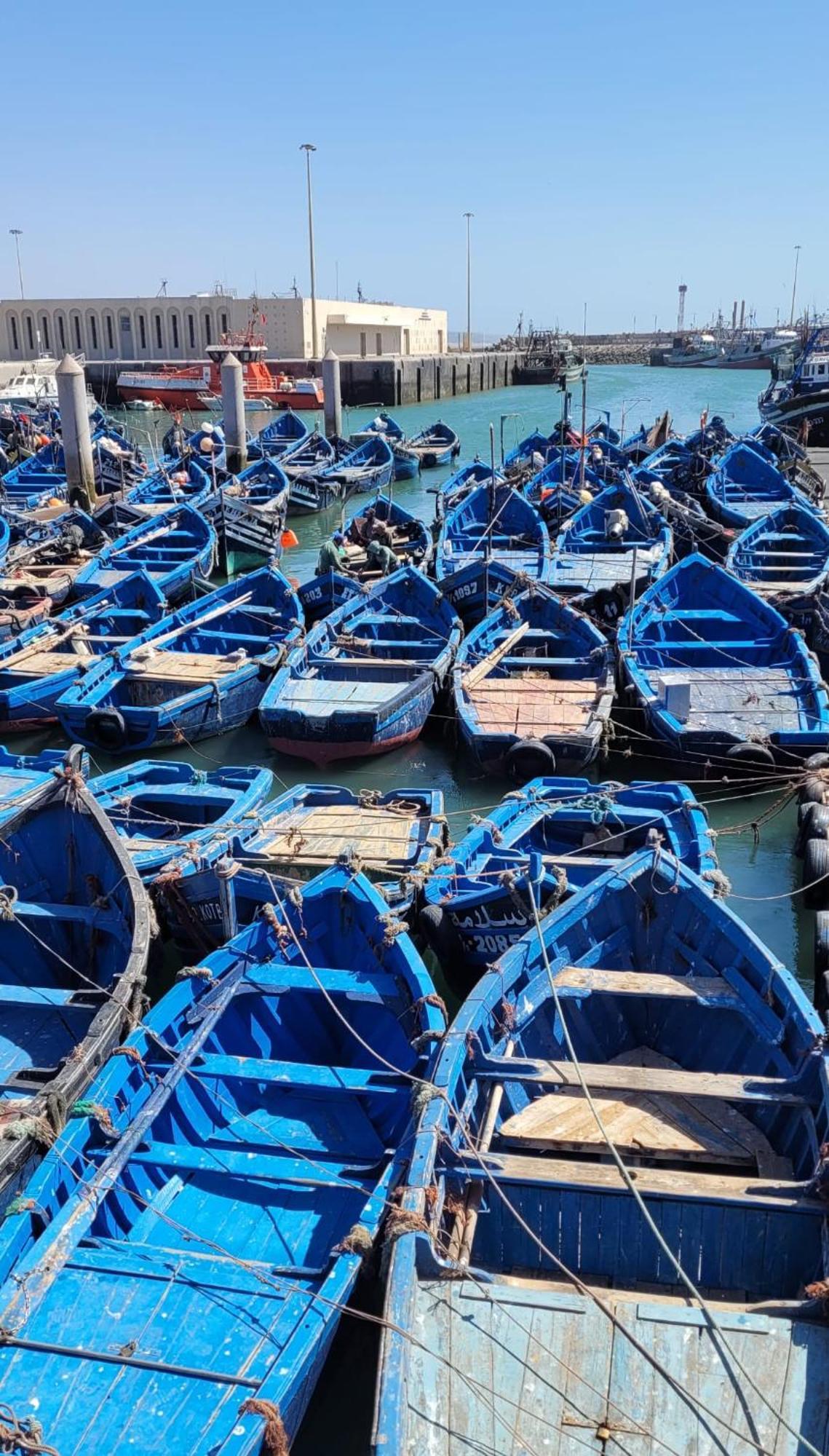 Riad Ocean Medina Essaouira Eksteriør bilde